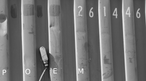 numbered poem