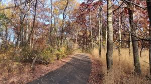 Midwest Autumn