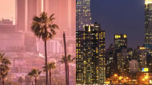 half los angeles half new york
